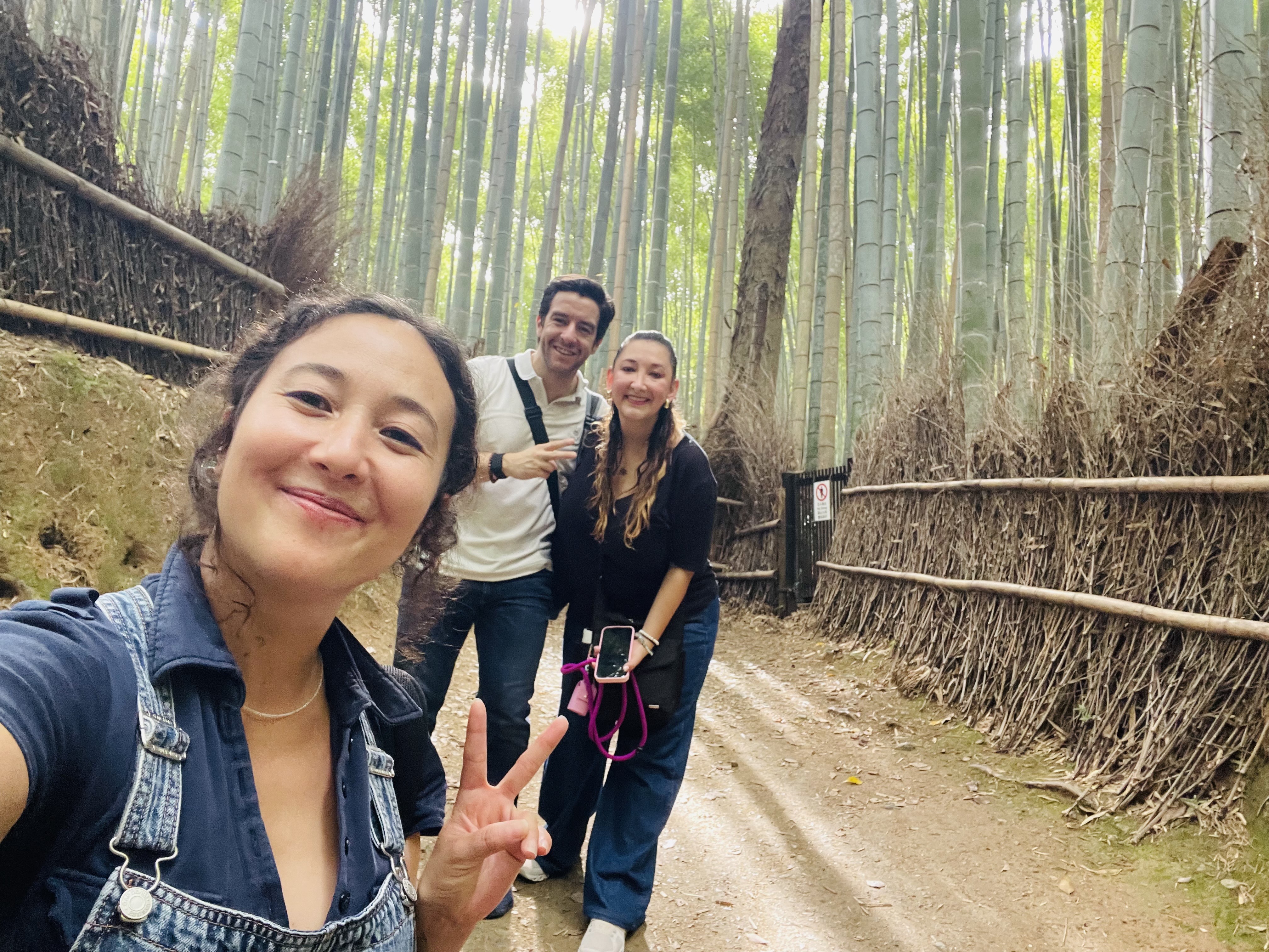 Nara Park, Nara